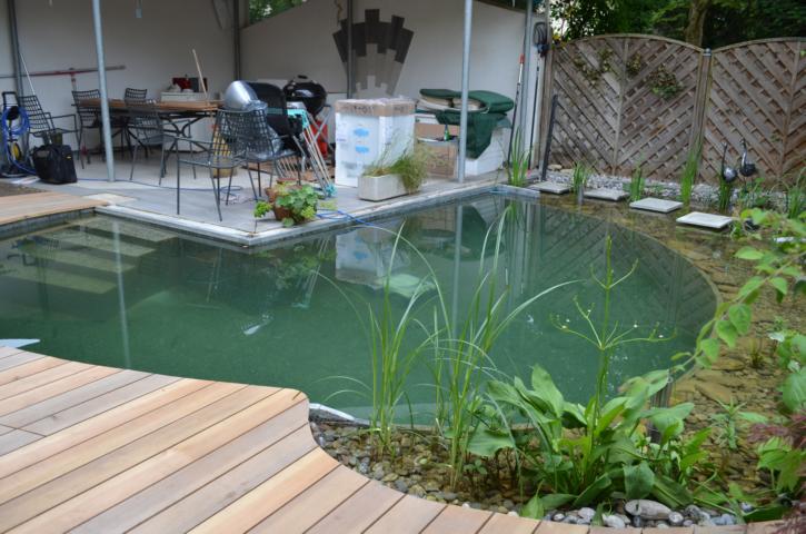 kleiner Schwimmteich